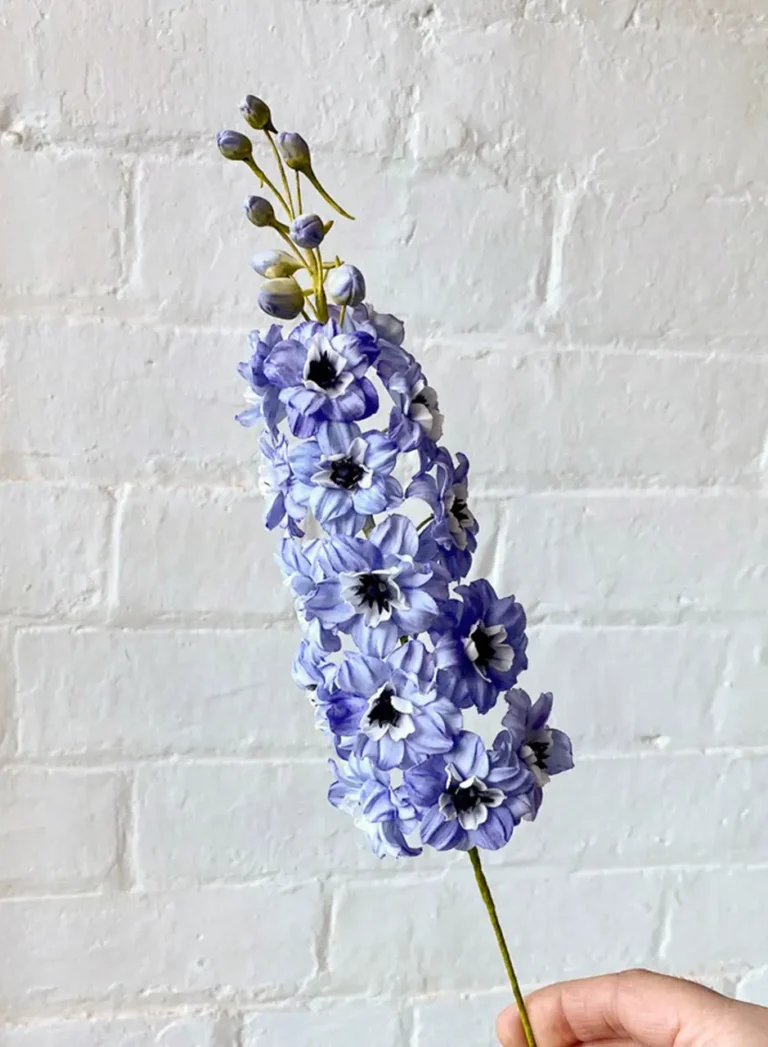 Ben le pâtissier - Création 2 - Ambassadeurs - Roxy & Rich