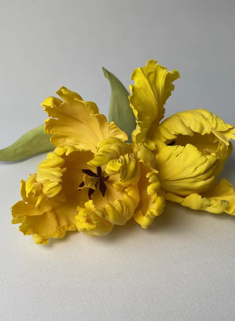 Ben le pâtissier - Création 4 - Ambassadeurs - Roxy & Rich